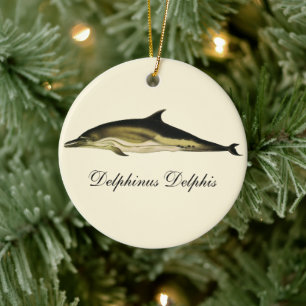 Delphin Delphinus Delphis, Vintage Meereslebewesen Keramikornament