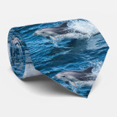 Delphin, der Hals-Krawatte spritzt Krawatte (Gerollt)