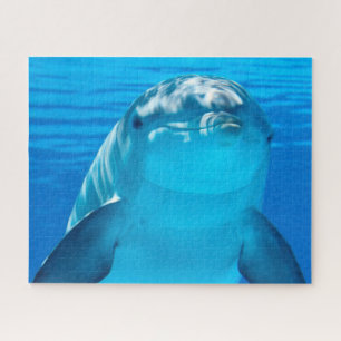 Delphin der Meere Puzzle
