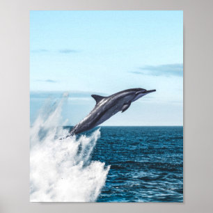 Delphin, die aus dem Ozean springen Poster