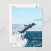 Delphin, die aus dem Ozean springen Postkarte (Vorne/Hinten)