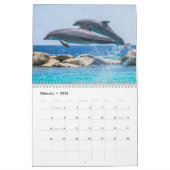 Delphin Dive Hawaiian Liebe Destiny Destiny's Kalender (Feb 2026)