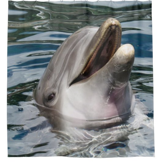 Delphin-Duschvorhang Duschvorhang (Vorderseite)