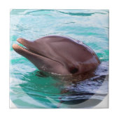 Delphin-Entwurfs-Fliese Fliese (Vorderseite)
