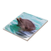 Delphin-Entwurfs-Fliese Fliese (Seite)