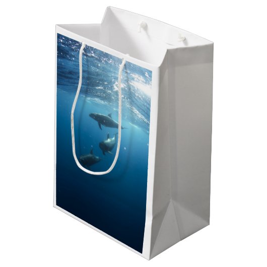 Delphin-Familie Mittlere Geschenktüte (Rückseite Schrägansicht)