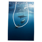 Delphin-Familie Mittlere Geschenktüte (Rückseite)