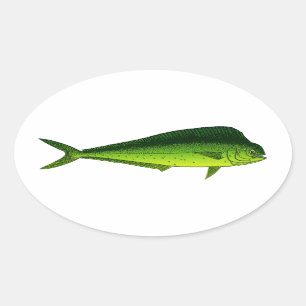 Delphin-Fische - Dorado - Mahi Mahi Ovaler Aufkleber