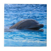 Delphin Fliese (Vorderseite)