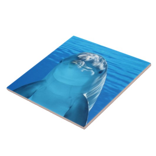 Delphin Fliese (Seite)