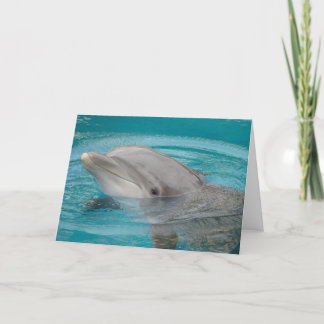 Delphin-Freund hallo Karte