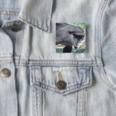 Delphin Getty Bild-| Button (Beispiel)