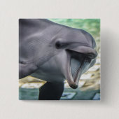 Delphin Getty Bild-| Button (Vorderseite)