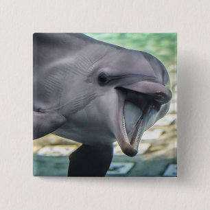 Delphin Getty Bild- Button