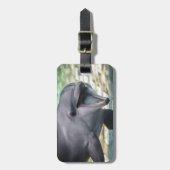 Delphin Getty Bild-| Gepäckanhänger (Vorderseite vertikal)