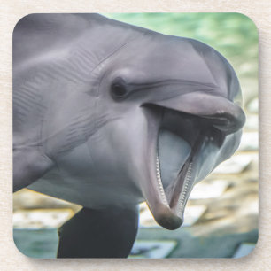 Delphin Getty Bild- Getränkeuntersetzer