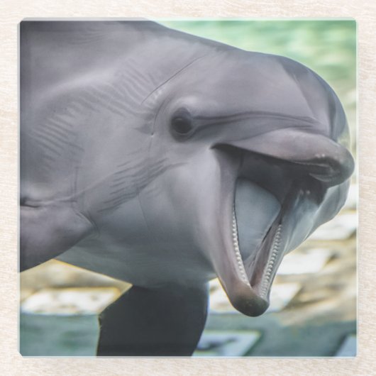 Delphin Getty Bild-| Glasuntersetzer (Vorderseite)
