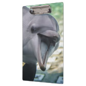 Delphin Getty Bild-| Klemmbrett (Links)