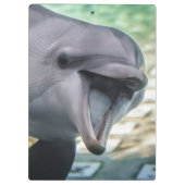 Delphin Getty Bild-| Klemmbrett (Rückseite)