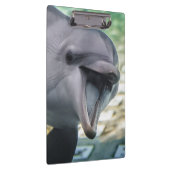 Delphin Getty Bild-| Klemmbrett (Rechts)