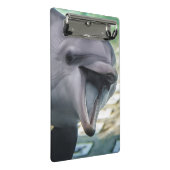Delphin Getty Bild-| Mini Klemmbrett (Schrägansicht)