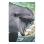 Delphin Getty Bild-| Mini Klemmbrett (Rückseite)