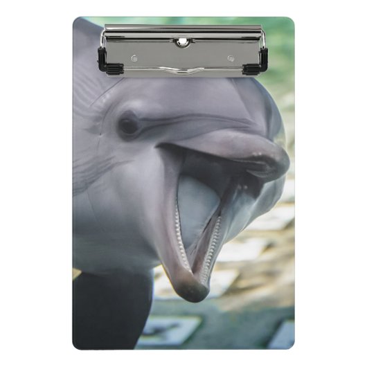 Delphin Getty Bild-| Mini Klemmbrett (Vorderseite)