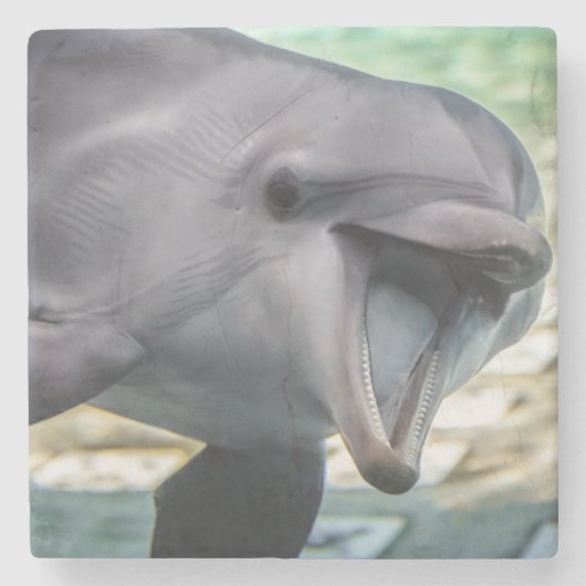 Delphin Getty Bild-| Steinuntersetzer (Vorderseite)
