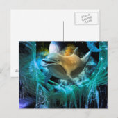 Delphin im Universum Postkarte (Vorne/Hinten)