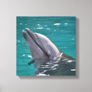 Delphin in Grün Leinwanddruck