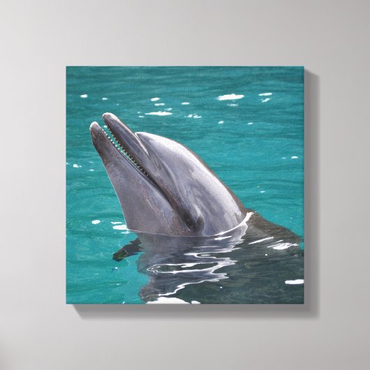 Delphin in Grün Leinwanddruck (Vorderseite)