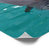 Delphin in Grün Poster (Ecke)