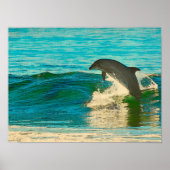 Delphin ist mein Geisttier Poster (Vorne)