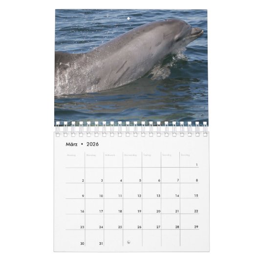 Delphin Kalender (Mär 2026)