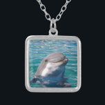 Delphin-Lächeln Versilberte Kette<br><div class="desc">Dieser schöne Delphin drückt Freude aus,  wenn er Sie sieht. Gerade was jeder Delphinliebhaber will!</div>