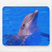 Delphin lächelt Mousepad (Vorne)