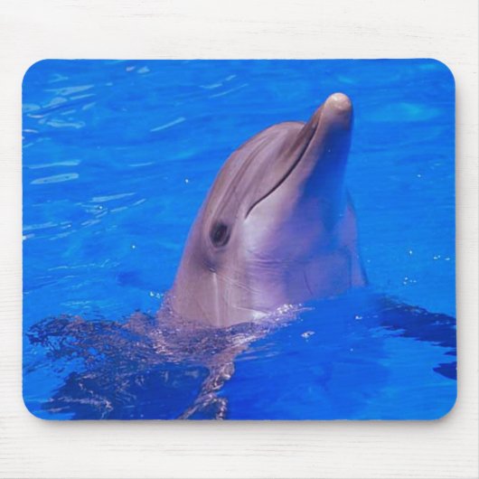 Delphin lächelt Mousepad (Vorne)