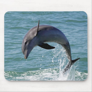 Delphin-Mausunterlage Mousepad