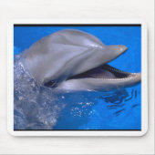Delphin Mousepad (Vorne)