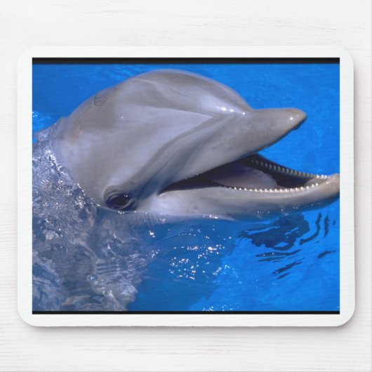 Delphin Mousepad (Vorne)