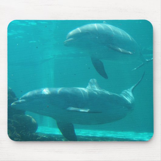 Delphin Mousepad (Vorne)