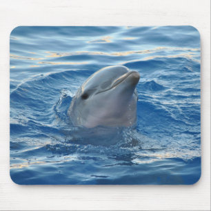 Delphin Mousepad
