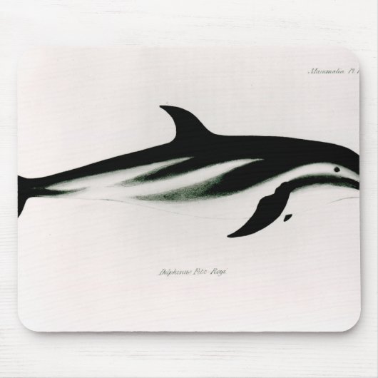 Delphin Mousepad (Vorne)