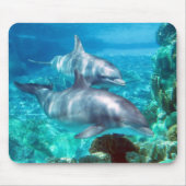 Delphin Mousepad (Vorne)