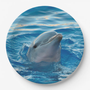 Delphin Pappteller