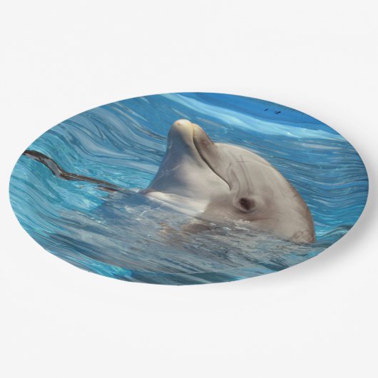 Delphin-Party-Teller Pappteller (Schrägansicht)