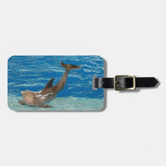 Delphin-Pose Gepäckanhänger (Vorderseite horizontal)