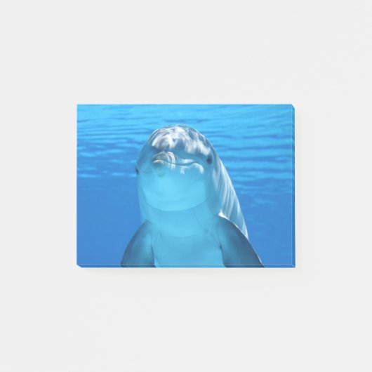 Delphin Post-it Klebezettel (Vorderseite)
