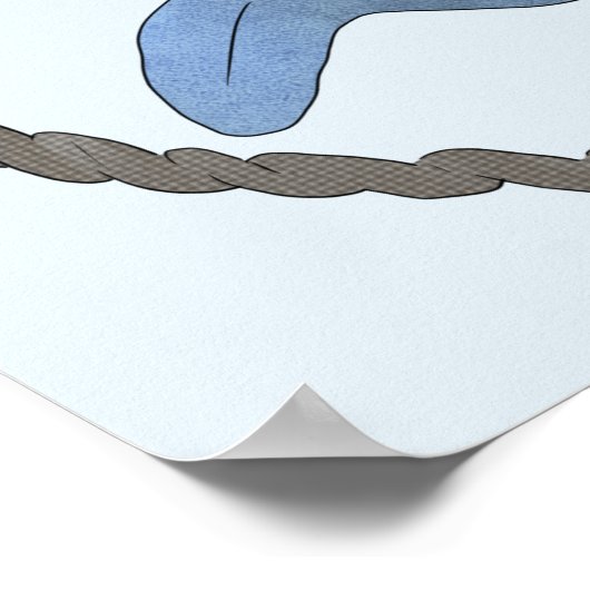 Delphin Poster (Ecke)