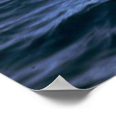 Delphin Poster (Ecke)